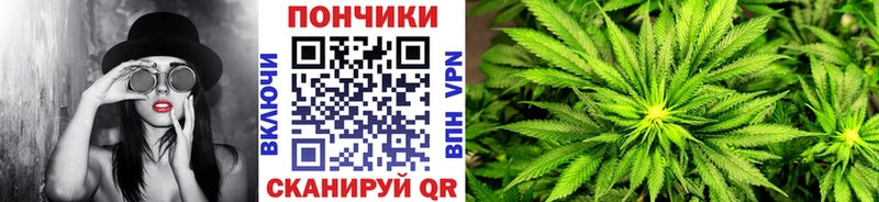 Каннабис марихуана Тутаев